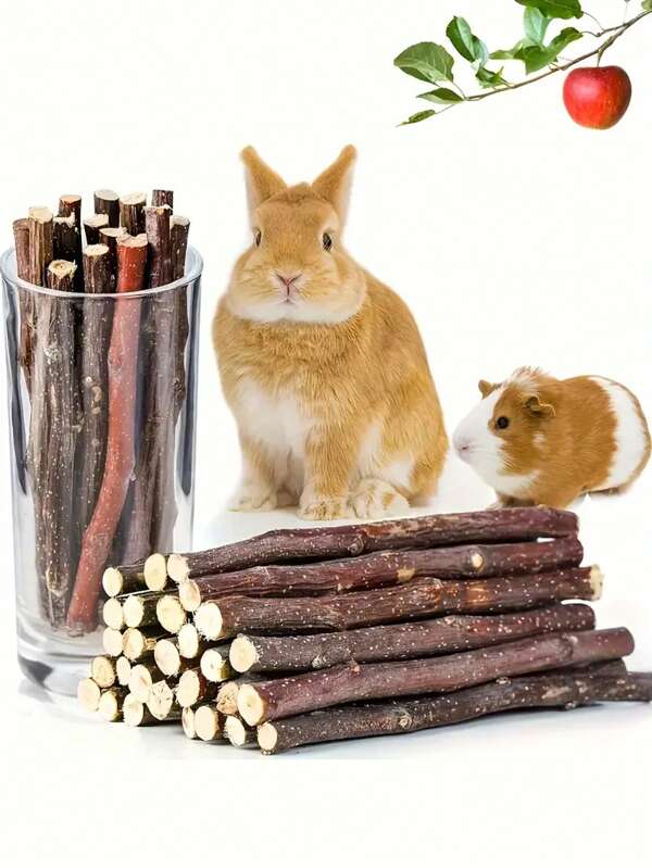 Bastoncini masticabili per piccoli animali domestici, confezione da 50g/100g - realizzati in legno di mela naturale, aiuta la cura della salute dei denti dei piccoli animali - adatti per conigli, porcellini d'India, cincillà, scoiattoli, ecc.