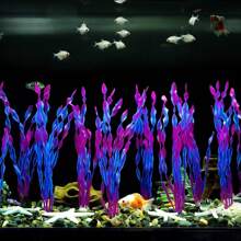 10 piezas de algas marinas artificiales para acuario, decoraciones de plástico para pecera