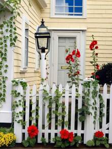 24 /48 Pack 173ft Artificial Ivy Greenery Garland, Fake Vines Hanging Plants Backdrop For Room Bedroom Wall Decor, Green Leaves For Jungle Theme Party Wedding Decoration - màu xanh lá - Xem 7