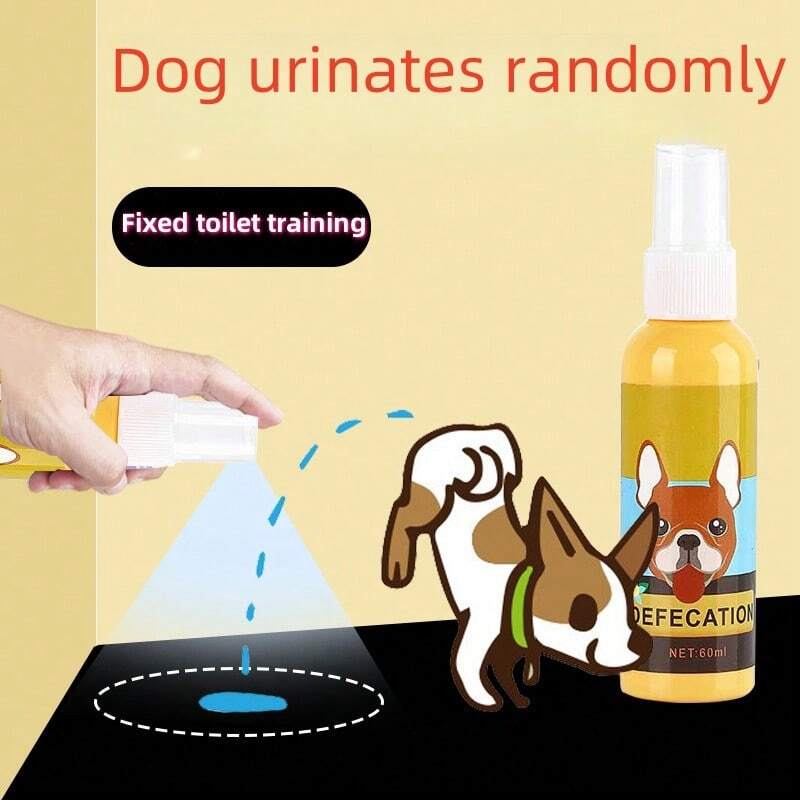 Supporto Per Tappetino Igienico Cane - Antiscivolo E Impermeabile, Ideale Per Cuccioli - Foto 4