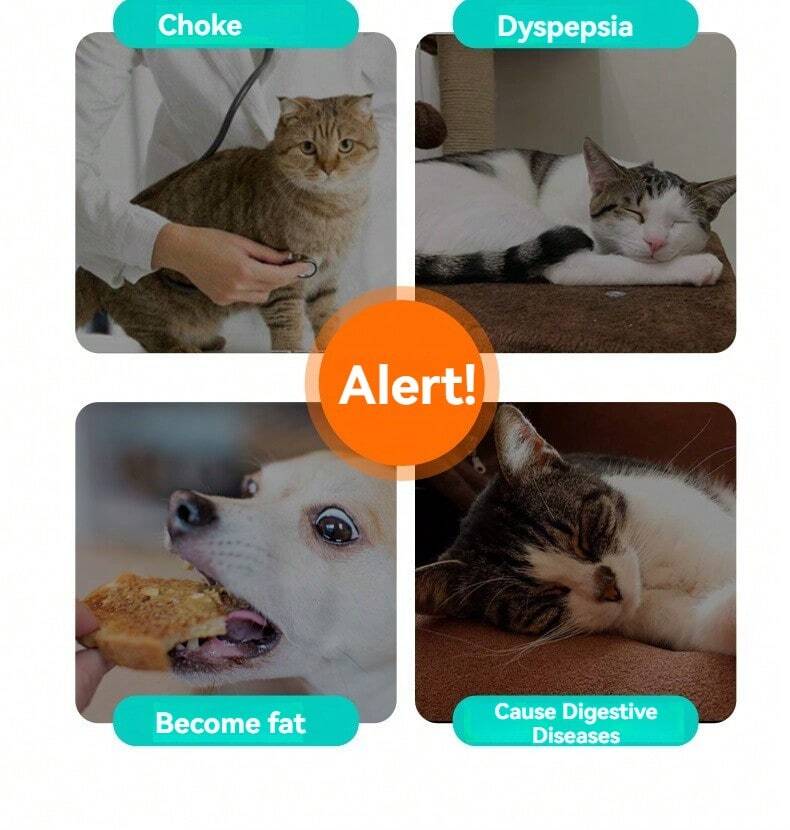 Traderplus - Set Di 4 Ciotole Pieghevoli In Silicone, Per Cani, Portatile, Da Viaggio, Cibo Per Animali Domestici E Gatti, Con Moschettone Per Escursionismo, Campeggio