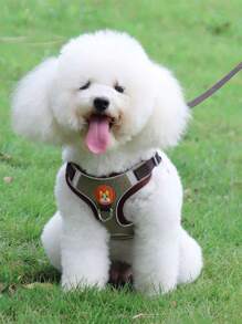 Dog And Cat Chest Harness, Leash + Vest Type Collar Set For Small And Medium Pets - Óxido marrón - Ver 2