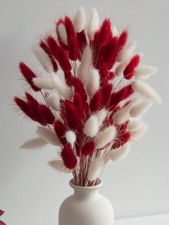 240 件芦苇花束、兔尾蒲苇干花、波西米亚风干花、满天星干花婚礼装饰干花 - 复活节、新年、情人节的节日装饰 - 非常适合婚礼、派对和餐桌装饰 - 家居和厨房装饰 - 干花和人造花装饰礼物生日毕业、秋季装饰、秋季