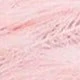 Cherry Blossom Pink