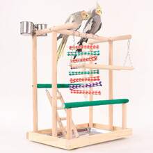 1 Pc Random Color & Style Parrot Perch, Includes Abrasive Perch, Ladder, Swing, Platform & Claw Grinding Stick, Bird Toy Accessories