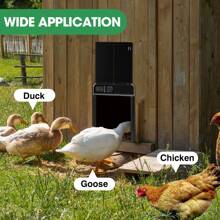 Automatic Chicken Coop Door, Automatic Chicken Coop Door With Timer And Manual Function, Anti-Pinch Chicken Coop Door With IP45 Waterproof LED Display - 黑色 - 查看 4