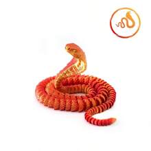 25cm Articulated Snake Movable Joints Snake Shaped Funny Toy - Cobra - View 14