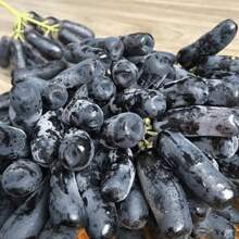 200 Organic Black Finger Grape Seeds For Growing, Non-Gmo Edible, Grape Organic Fruit Seeds Heirloom - 200pcs - View 2