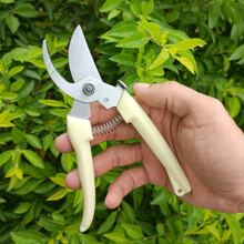 Ivory White Handle Stainless Steel Pruning Shears, Garden Bonsai Tree Clippers, Straight & Curved Blades