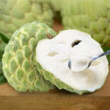 100 Pcs Seeds Apple Seeds, Custard Apple, Annona Squamosa - Tropical Exotic Delicious Sweet Fruits Fruit Seeds - Great Gardening Gift - 100顆種子 - 查看 3