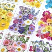 30/40Pcs 1 Set Dried Pressed Leaves Dried Flowers For Resin Real Assorted Dried Greenery For Pressed Leaf Art Craft DIY Handmade Bookmarks Embellishment Decorations