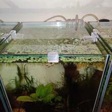 4 piezas de soportes de acrílico de 6MM/8MM/10MM/12MM, soportes para tapa de acuario, soportes de acuario