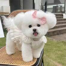 Dog Dresses For Small Dogs Girl Summer Puppy Clothes Outfit Apparel Female Cute Cat Skirt Bowknot Pet Dress