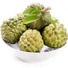 100 Pcs Seeds Apple Seeds, Custard Apple, Annona Squamosa - Tropical Exotic Delicious Sweet Fruits Fruit Seeds - Great Gardening Gift - 100顆種子 - 查看 4