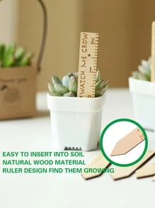 12PCS/30pcs Houten Plantenlabels Tuinlabels Voor Vetplanten, Houten Labels Voor Buiten- En Binnenplanten, Herbruikbare Gegraveerde Tuinlabelpalen