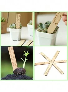 12PCS/30pcs Houten Plantenlabels Tuinlabels Voor Vetplanten, Houten Labels Voor Buiten- En Binnenplanten, Herbruikbare Gegraveerde Tuinlabelpalen