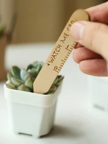 12PCS/30pcs Houten Plantenlabels Tuinlabels Voor Vetplanten, Houten Labels Voor Buiten- En Binnenplanten, Herbruikbare Gegraveerde Tuinlabelpalen