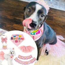1 Set Of Birthday Dog Party Supplies - Dog Birthday Pet Girl Set Dog Birthday Bandage - Pink Skirt Crown Hat Scarf Happy Birthday Banner (Pink, Large)
