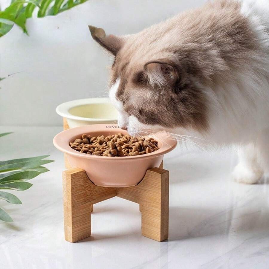 Bát sứ hình đĩa cho mèo có chân đế