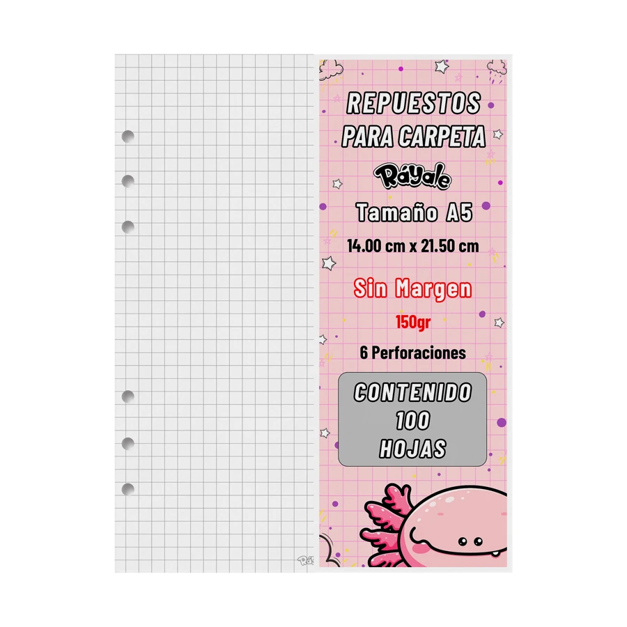 Rayale 100 Replacement Sheets For 150gr A5 Size 6 Holes Binder Without Margin (Large Frame)