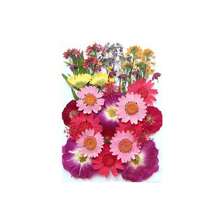 30/40Pcs 1 Set Dried Pressed Leaves Dried Flowers For Resin Real Assorted Dried Greenery For Pressed Leaf Art Craft DIY Handmade Bookmarks Embellishment Decorations