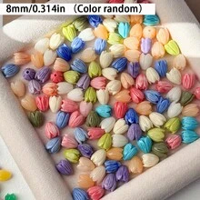 12 Peças Botões de Flor Prensada de Conchas, Variedades de Rosas, Tulipas, Brincos Elegantes DIY, Pulseira, Colar, Artesanato de Joias