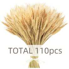 50/100 件优质干小麦捆 - 天然小麦捆，适用于家庭厨房、婚礼、派对、桌面中心装饰、丰收花环、波西米亚风农舍 DIY 装饰礼物生日毕业典礼、假植物 - 彩色 - 查看 1