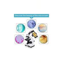 BEBANG 100X-2000X Microscope For Adults With Microscope Slides Kit Professional Biological Microscope For Students School Laboratory - White1 - View 5