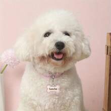 Collare in pelle personalizzato per cani con targhetta a forma di osso, con nome dell'animale domestico e numero di telefono inciso su entrambi i lati, decorazione in metallo con impronta anti-smarrimento, accessorio di moda per cani e gatti, regalo ideale per animali domestici piccoli e medi, ornamentale, inciso, in acciaio inossidabile, elegante, alla moda, colorato, vintage, carino, compatto, simpatico, personalizzato, unico, personalizzato, per anniversari, per compleanni