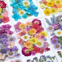 30/40Pcs 1 Set Dried Pressed Leaves Dried Flowers For Resin Real Assorted Dried Greenery For Pressed Leaf Art Craft DIY Handmade Bookmarks Embellishment Decorations