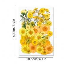 30/40Pcs 1 Set Dried Pressed Leaves Dried Flowers For Resin Real Assorted Dried Greenery For Pressed Leaf Art Craft DIY Handmade Bookmarks Embellishment Decorations