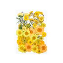 30/40Pcs 1 Set Dried Pressed Leaves Dried Flowers For Resin Real Assorted Dried Greenery For Pressed Leaf Art Craft DIY Handmade Bookmarks Embellishment Decorations