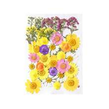 30/40Pcs 1 Set Dried Pressed Leaves Dried Flowers For Resin Real Assorted Dried Greenery For Pressed Leaf Art Craft DIY Handmade Bookmarks Embellishment Decorations