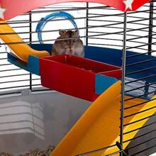 CIRCUS FUN Themed Hamster Cage Three-Level Design For Interactive Window Includes Exercise Wheel Easy Clean 49.5x34x42.5 Cm - CIRCUSFUN - View 4