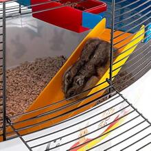 CIRCUS FUN Themed Hamster Cage Three-Level Design For Interactive Window Includes Exercise Wheel Easy Clean 49.5x34x42.5 Cm - CIRCUSFUN - View 5