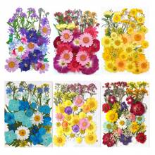 30/40Pcs 1 Set Dried Pressed Leaves Dried Flowers For Resin Real Assorted Dried Greenery For Pressed Leaf Art Craft DIY Handmade Bookmarks Embellishment Decorations