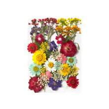 30/40Pcs 1 Set Dried Pressed Leaves Dried Flowers For Resin Real Assorted Dried Greenery For Pressed Leaf Art Craft DIY Handmade Bookmarks Embellishment Decorations