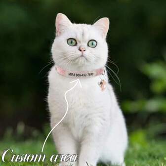 Rokhevn 1pc Customized Soft Corduroy Cat Collar With Bell, UV Printed With Name And Phone Number, Soft Faux Leather Decoration, Elegant And Eternal, Soft And Skin-Friendly