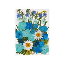 30/40Pcs 1 Set Dried Pressed Leaves Dried Flowers For Resin Real Assorted Dried Greenery For Pressed Leaf Art Craft DIY Handmade Bookmarks Embellishment Decorations