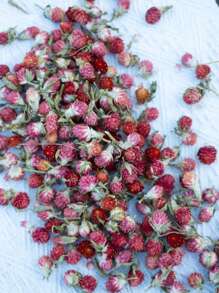 50/100/200 件有机蜀葵花，适合 DIY 花环、工艺品、装饰品 - 独立，无需电力，是圣诞节、万圣节、复活节、感恩节装饰的理想选择