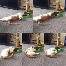 Juguete interactivo para amantes de los gatos y mamás de gatos con ratón giratorio, poste rascador y juguete de rompecabezas con ratón, todo en un diseño verde para gatos de interior y gatitos que aman a sus dueños