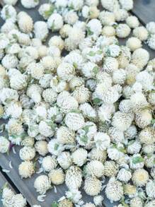 50/100/200 件有机蜀葵花，适合 DIY 花环、工艺品、装饰品 - 独立，无需电力，是圣诞节、万圣节、复活节、感恩节装饰的理想选择