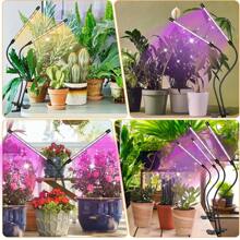 USB 全光谱室内 LED 植物生长灯，带夹子的可调节鹅颈灯，3/9/12 小时定时器，10 级可调光，3 种开关模式，适用于室内培育绿色植物、开花和种子发芽