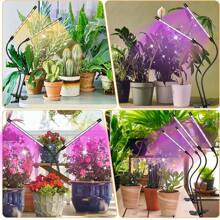 USB 全光谱室内 LED 植物生长灯，带夹子的可调节鹅颈管，3/9/12 小时定时器，10 个亮度等级，3 种开关模式，适用于绿色植物的室内栽培、开花和种子发芽