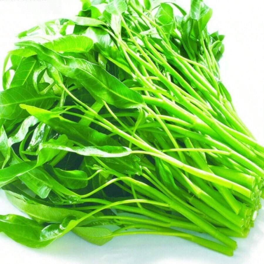 100 Pcs Seeds Kangkong Seeds - Rau Muong, Ong Choy, Brown - Chinese Spinach - Cong Xin CAI Seeds, Kangkung Seeds For Planting - 100 hạt giống - Xem 1
