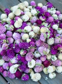 50/100/200 件有机蜀葵花，适合 DIY 花环、工艺品、装饰品 - 独立，无需电力，是圣诞节、万圣节、复活节、感恩节装饰的理想选择