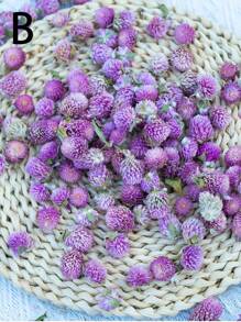 50/100/200 件有机蜀葵花，适合 DIY 花环、工艺品、装饰品 - 独立，无需电力，是圣诞节、万圣节、复活节、感恩节装饰的理想选择