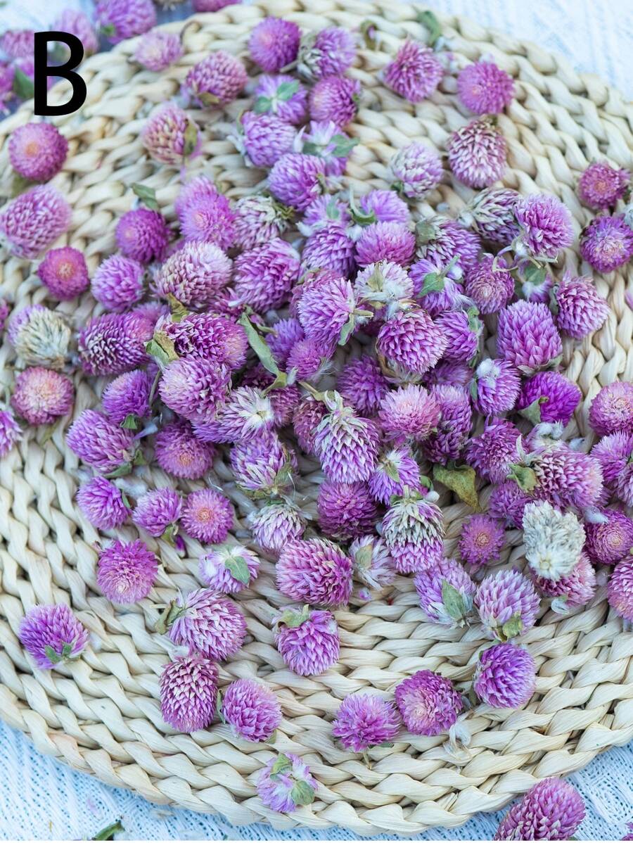 50/100/200 件有机蜀葵花，适合 DIY 花环、工艺品、装饰品 - 独立，无需电力，是圣诞节、万圣节、复活节、感恩节装饰的理想选择