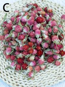 50/100/200 件有机蜀葵花，适合 DIY 花环、工艺品、装饰品 - 独立，无需电力，是圣诞节、万圣节、复活节、感恩节装饰的理想选择