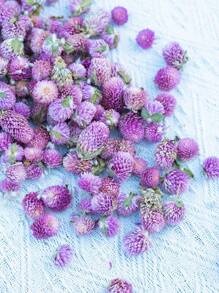 50/100/200 件有机蜀葵花，适合 DIY 花环、工艺品、装饰品 - 独立，无需电力，是圣诞节、万圣节、复活节、感恩节装饰的理想选择